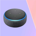 Everything You Need to Know About Virtual Assistants like Alexa or Google Home